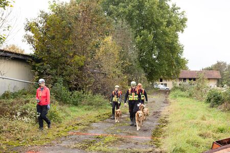 Mednarodno tekmovanje ekip reševalnih psov; foto: Civilna zaščita Domžale